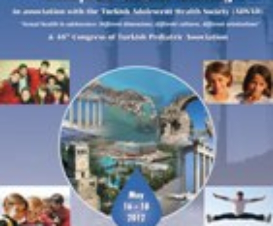 220108561112_TPK2012-afis-ing-SON1